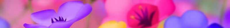 very-colorful-flowers-facebook-cover